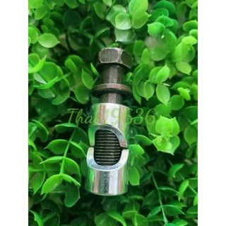Ốc sọ Xipo ( Ghi đong )