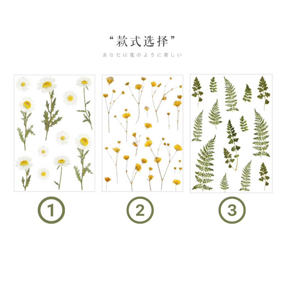 Sticker trong suốt hình hoa Cúc Daisy dán trang trí planner sổ tay phong cách vintage