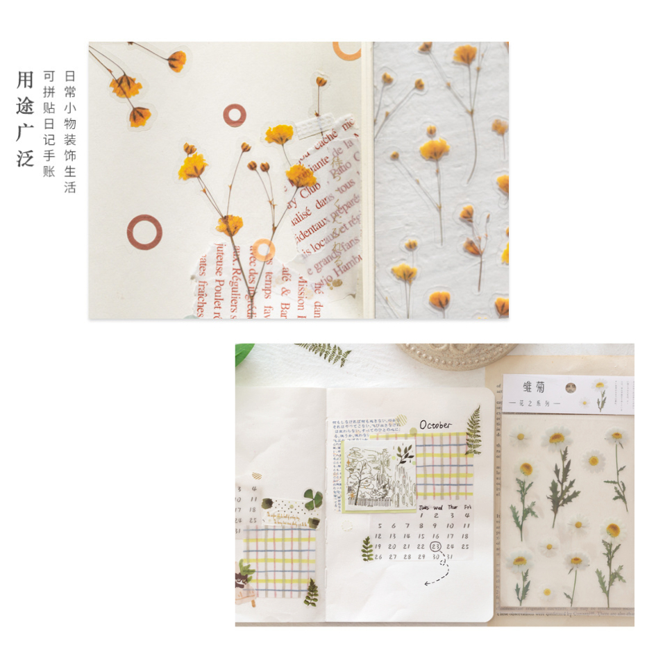 Sticker trong suốt hình hoa Cúc Daisy dán trang trí planner sổ tay phong cách vintage