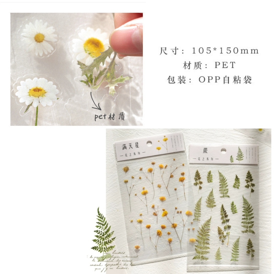 Sticker trong suốt hình hoa Cúc Daisy dán trang trí planner sổ tay phong cách vintage