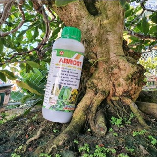 Phân Abroot Kích rễ Bung Tàn Mập Thân 1lit