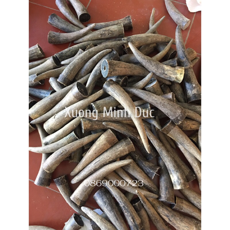 Chóp sừng bò Phi đen loại đặc không nứt 18-20cm.