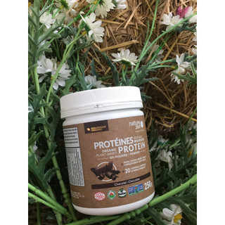Bột Protein Thực Vật Hữu Cơ Nature Zen - VỊ SOCOLA
