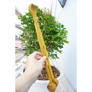  Cây gãi lưng đấm lưng giảm đau lưng mỏi cơ căng cơ cho người làm văn phòng - Ohandi Shop 