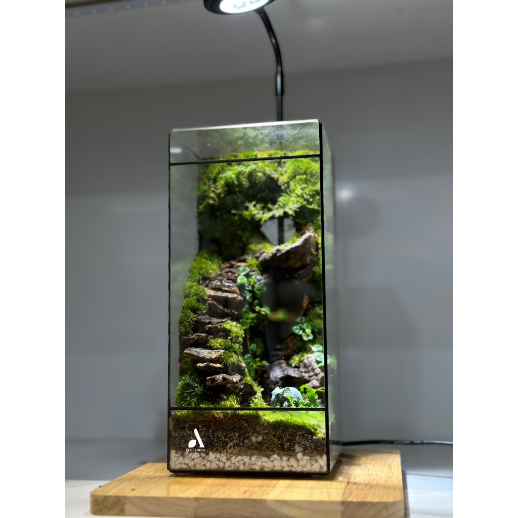 Bình đa giác kín BABYLON 04, bình kín terrarium, bể đa giác, bể kính hình học, bể terrarium, terrarium setup sẵn