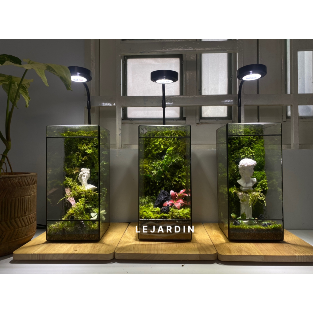 Bình đa giác kín BABYLON 04, bình kín terrarium, bể đa giác, bể kính hình học, bể terrarium, terrarium setup sẵn