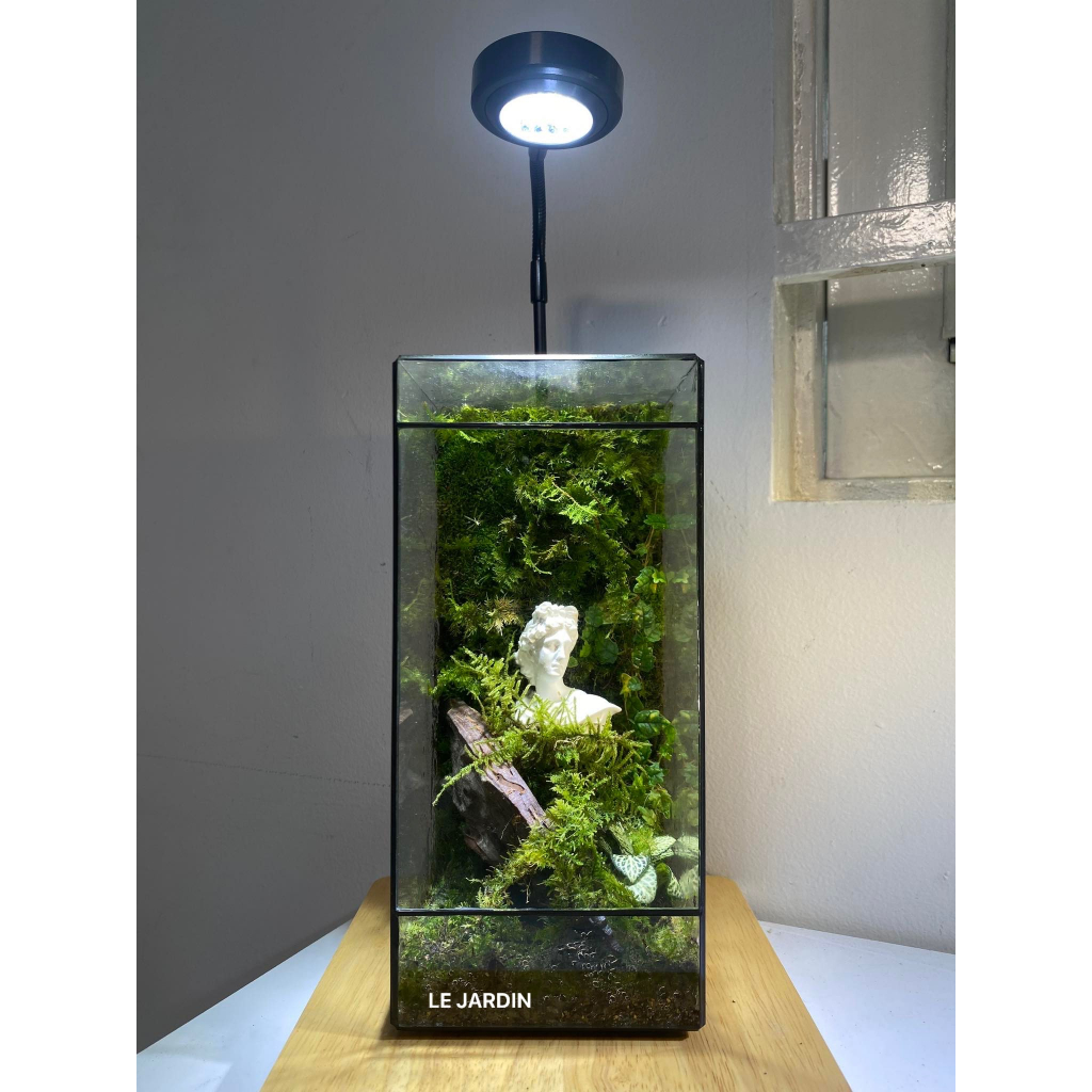 Bình đa giác kín BABYLON 04, bình kín terrarium, bể đa giác, bể kính hình học, bể terrarium, terrarium setup sẵn