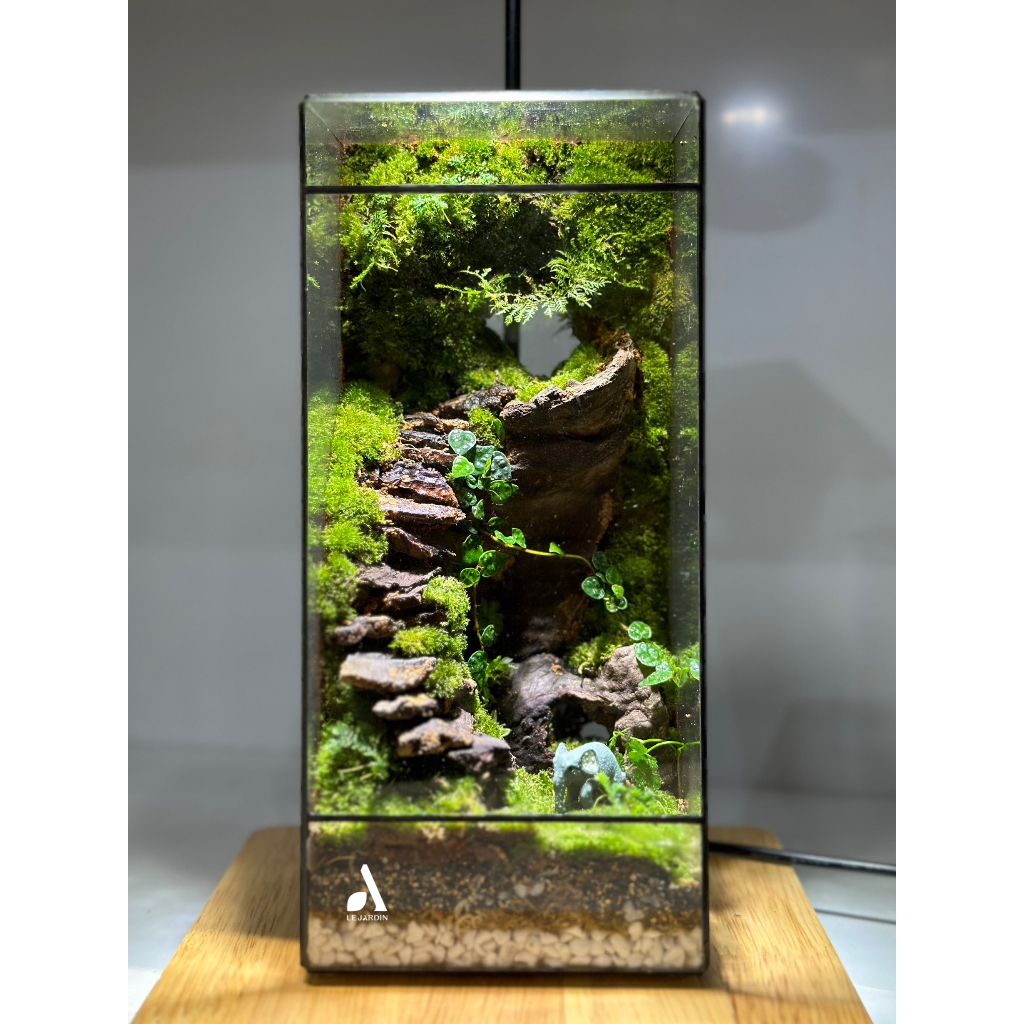 Bình đa giác kín BABYLON 04, bình kín terrarium, bể đa giác, bể kính hình học, bể terrarium, terrarium setup sẵn