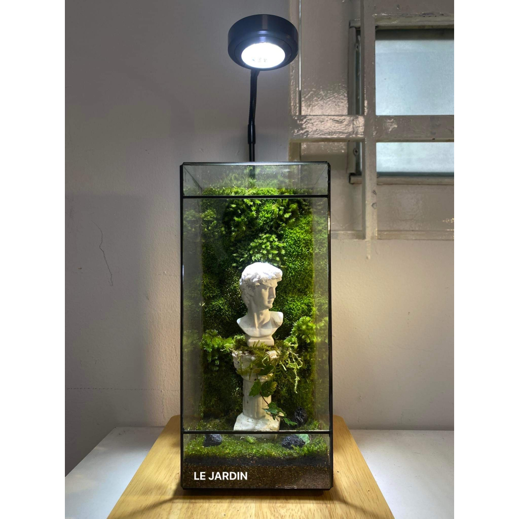 Bình đa giác kín BABYLON 04, bình kín terrarium, bể đa giác, bể kính hình học, bể terrarium, terrarium setup sẵn