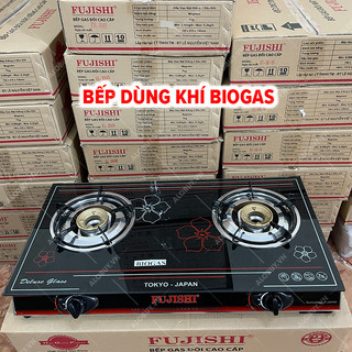 Bếp đôi sử dụng khí BIOGAS chén đồng kính cường lực FUJISHI FJ-BG7