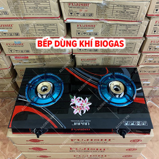 Bếp đôi sử dụng khí BIOGAS chén đồng kính cường lực FUJISHI FJ-BG3