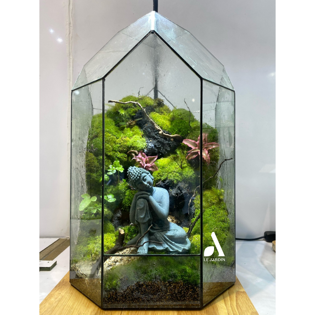 Bình đa giác set up Terrarium, bể đa giác hình học, bể terrarium, terrarium mini - HƠN 30 MẪU