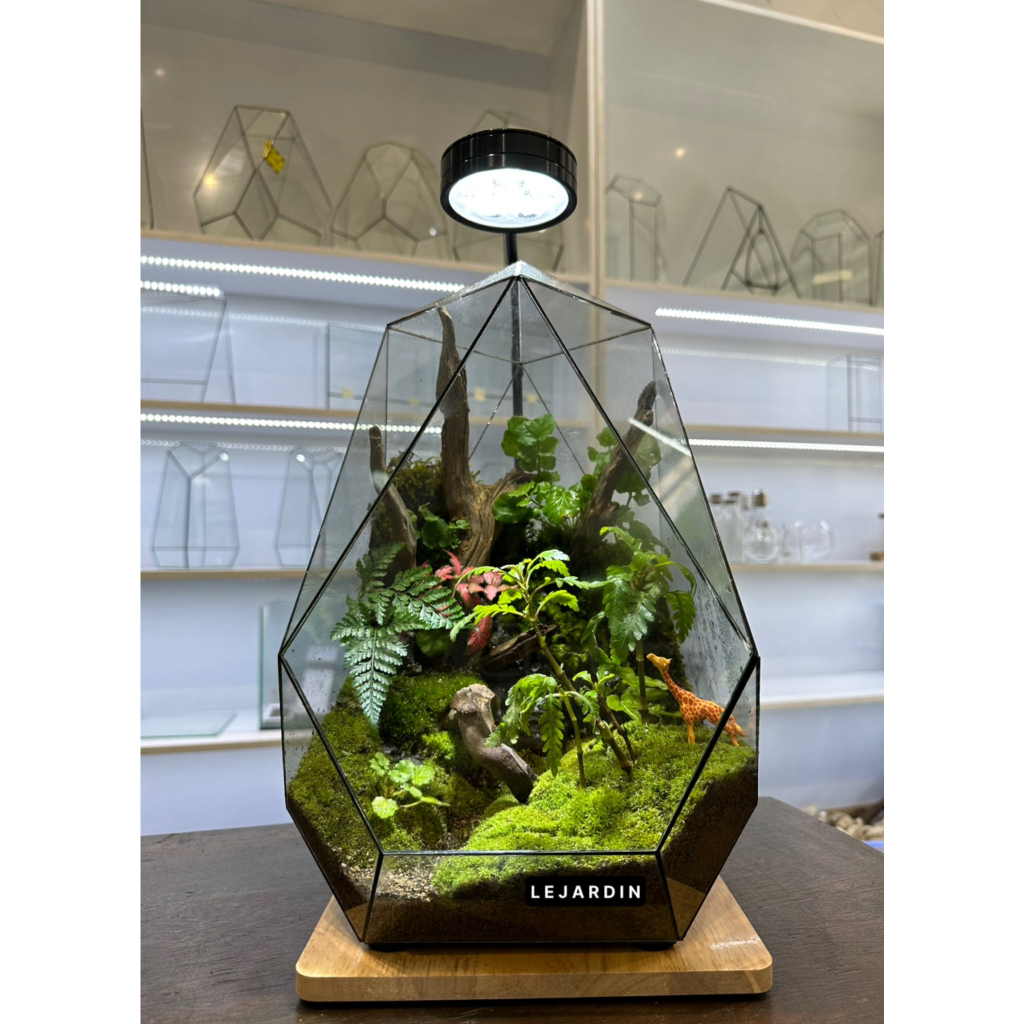 Bình đa giác set up Terrarium, bể đa giác hình học, bể terrarium, terrarium mini - HƠN 30 MẪU