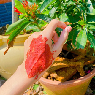 Bột Củ Dền Nguyên Chất 100g  (Bột Củ Rền Tạo Màu Đỏ)