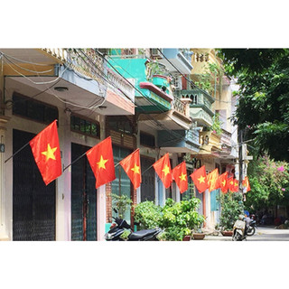 Cờ tổ quốc KT 70X115CM
