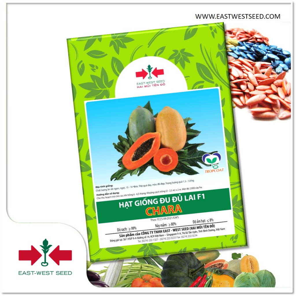 GÓI 20 HẠT GIỐNG ĐU ĐỦ RUỘT ĐỎ LAI F1 CHARA CỦA EAST-WEST SEED (HAI MŨI TÊN ĐỎ)