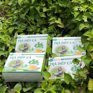 Trà Diếp Cá - Thanh nhiệt, giải độc, mát gan, Thải độc- cơ sở Lụa Vy