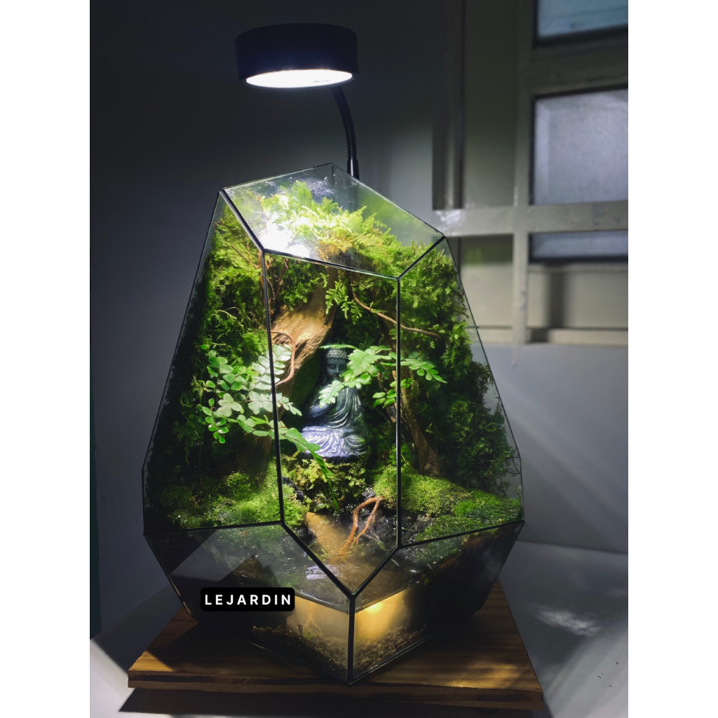 Bình đa giác set up Terrarium, bể đa giác hình học, bể terrarium, terrarium mini - HƠN 30 MẪU