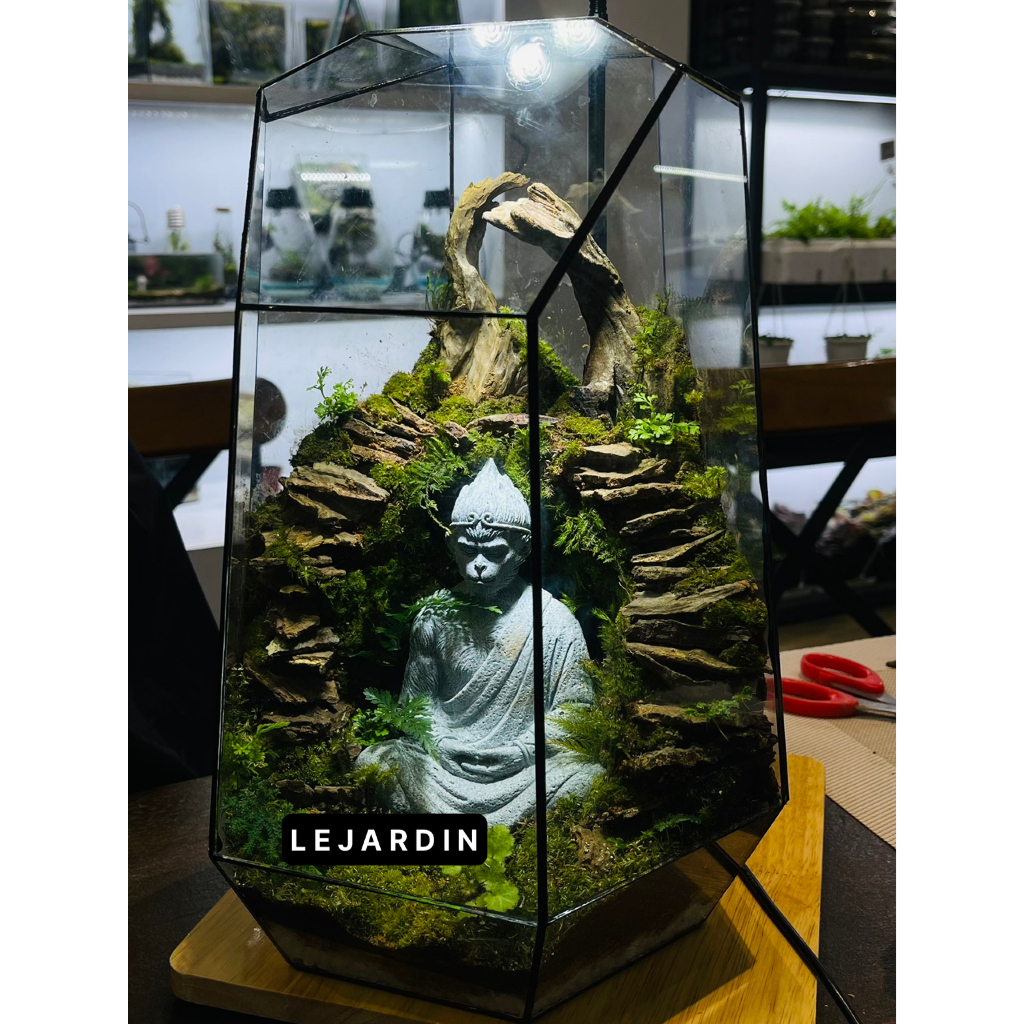 Bình đa giác set up Terrarium, bể đa giác hình học, bể terrarium, terrarium mini - HƠN 30 MẪU