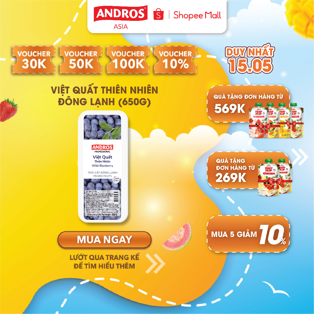 Việt Quất Thiên Nhiên Đông Lạnh - Không chất bảo quản - Trái cây đông lạnh ANDROS IQF - 650g - [Chỉ giao HCM]