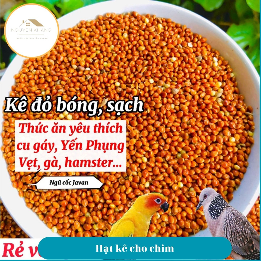Hạt kê lớn nhỏ, kê đỏ hạt bóng túi 500 gr cho chim cu gáy, Vẹt, chim Yến Phụng, chim cảnh, Hamster và các dòng chim sẻ