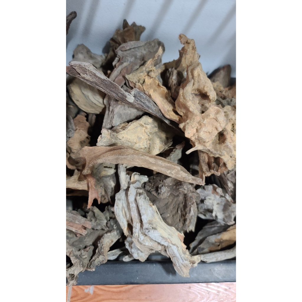 Lũa mini, lũa nhẹ phù hợp làm bể terarium, tiêu cảnh hòn non bộ