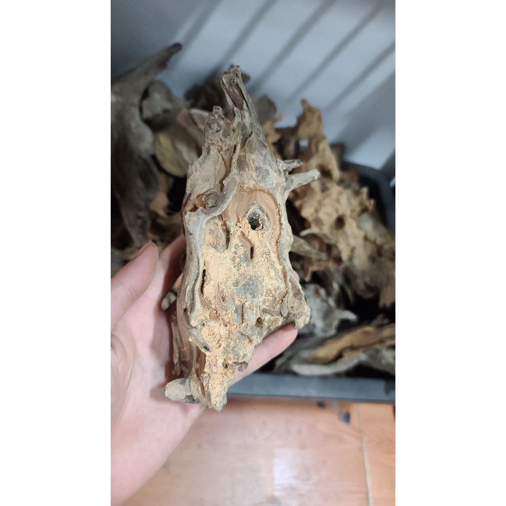 Lũa mini, lũa nhẹ phù hợp làm bể terarium, tiêu cảnh hòn non bộ