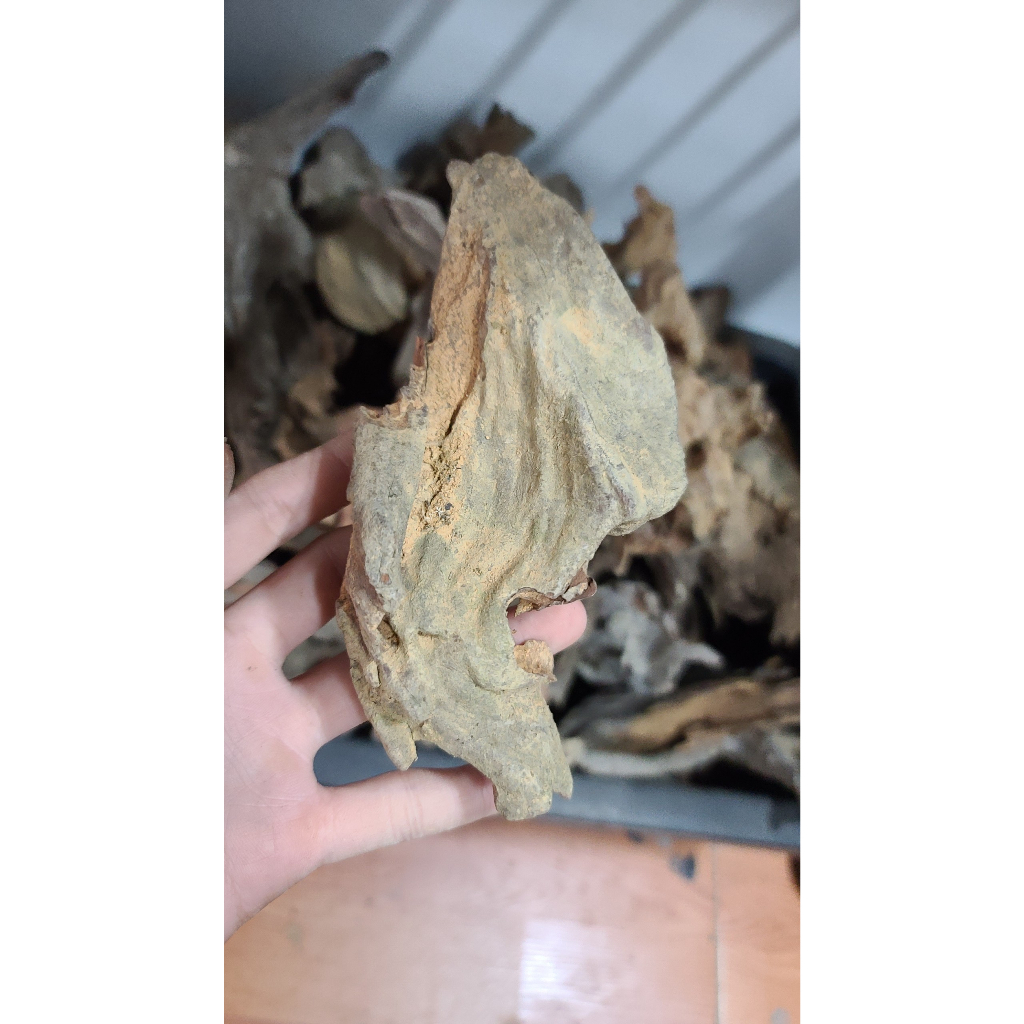 Lũa mini, lũa nhẹ phù hợp làm bể terarium, tiêu cảnh hòn non bộ