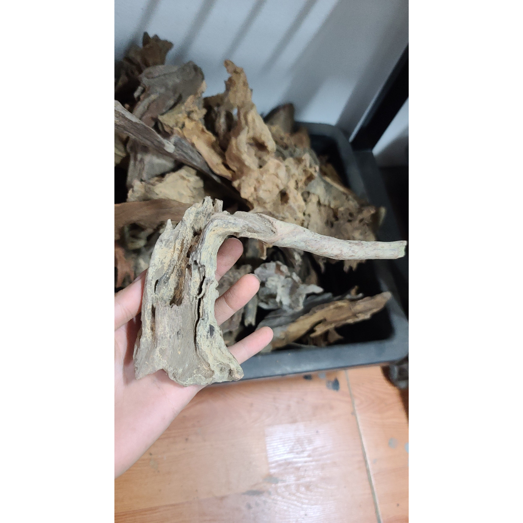 Lũa mini, lũa nhẹ phù hợp làm bể terarium, tiêu cảnh hòn non bộ