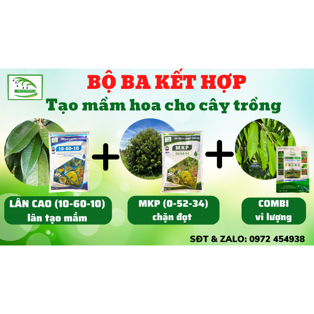 Phân bón MKP MKA 00 52 34 thúc già lá chặn đọt