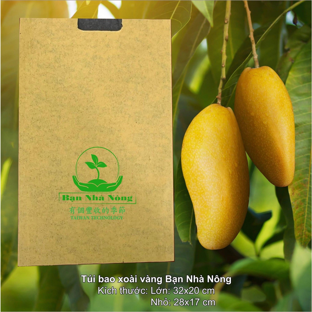 100 Túi Bao Xoài Vàng 2 Lớp Nhỏ (28x.17)