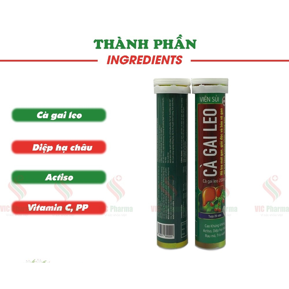 Viên sủi Cà gai leo hỗ trợ thanh nhiệt mát gan, giải độc và bảo vệ gan chính hãng tuýp 20 viên