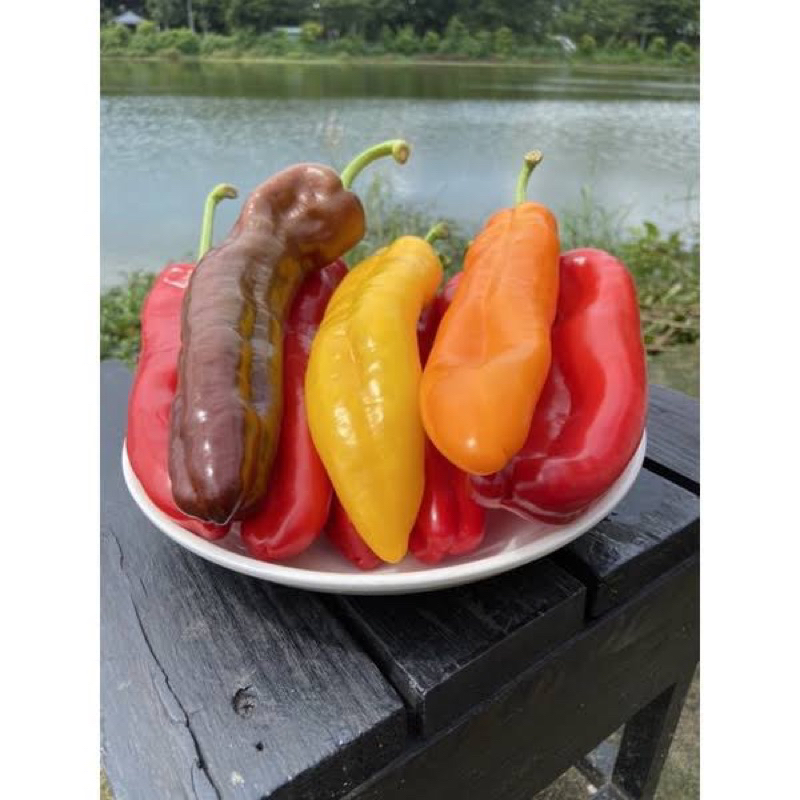 Ớt ngọt Parlemo Mix- Trái Cây Ăn Sống