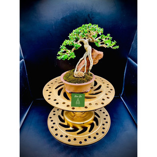 Bàn xoay bonsai cây cảnh, kê đồ, chân chậu tải 150kg. 22C