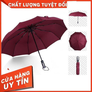 Ô tự động xuất nhật cán dài tiện dụng