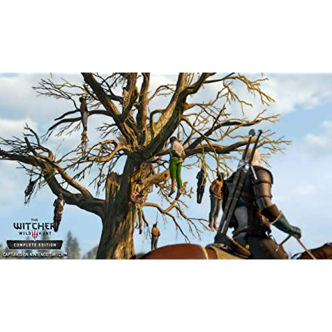 Game Witcher 3: Wild Hunt - Nintendo Switch