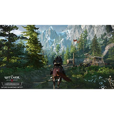 Game Witcher 3: Wild Hunt - Nintendo Switch