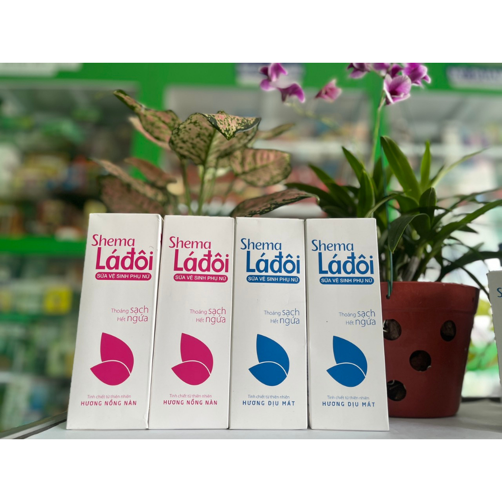 Sữa vệ sinh phụ nữ SHEMA Lá Đôi làm sạch tác nhân gây ngứa, mùi và viêm nhiễm phụ khoa 100ml -200ml - NT Bình An