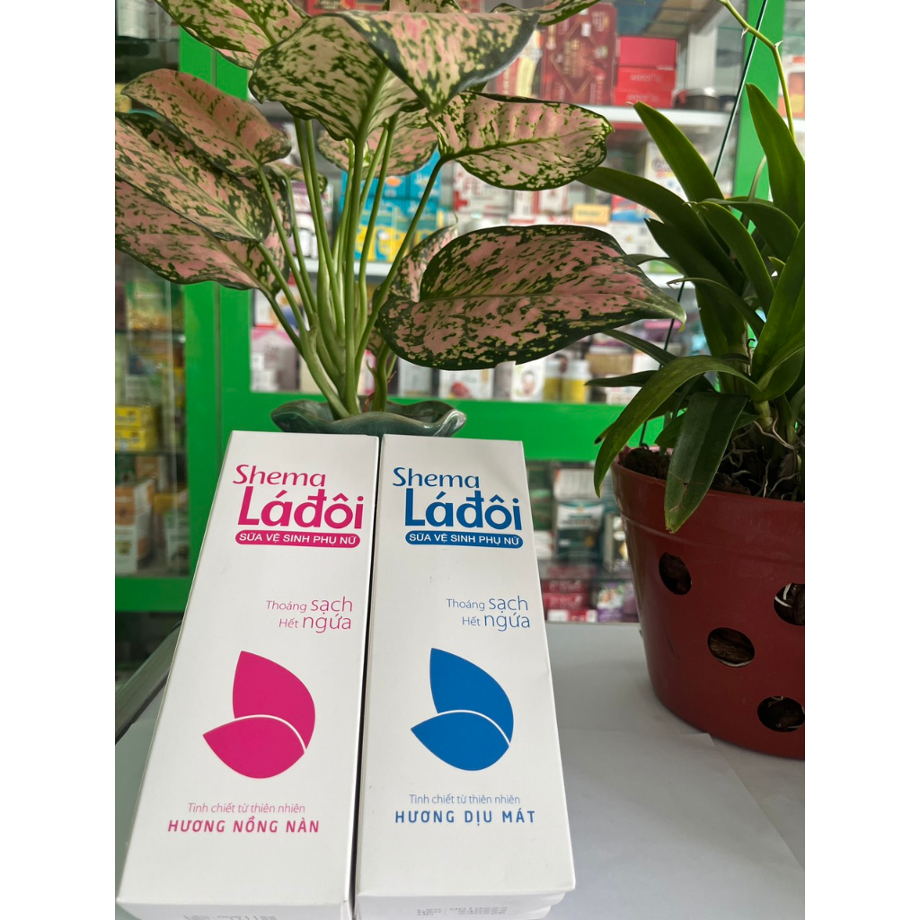 Sữa vệ sinh phụ nữ SHEMA Lá Đôi làm sạch tác nhân gây ngứa, mùi và viêm nhiễm phụ khoa 100ml -200ml - NT Bình An