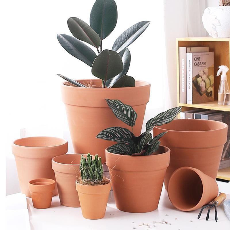 Chậu đất nung trồng sen đá, xương rồng, cây cảnh mini , cây để bàn [Side 6*3,5, Side 6*6,5, Side 8*8,8]