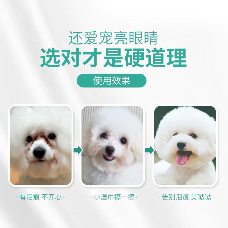 Combo đánh bay vết ố vàng ở mắt, giảm chảy nước mắt cho chó mèo