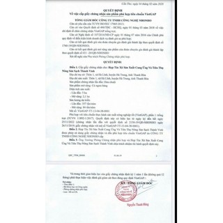 Trà ngưu bàng túi lọc (24 gói x 2g)
