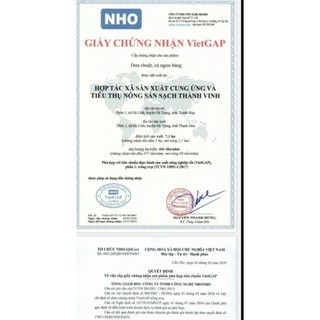 Trà ngưu bàng túi lọc (24 gói x 2g)