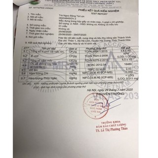 Trà ngưu bàng túi lọc (24 gói x 2g)