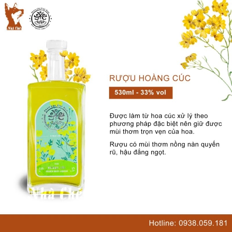 Hoàng cúc - Nước trái cây lên men