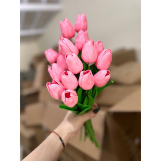 Hoa tuylip /hoa decor giá rẻ