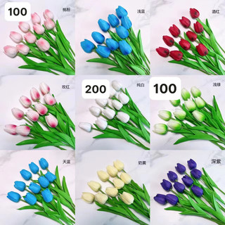 Hoa tuylip /hoa decor giá rẻ