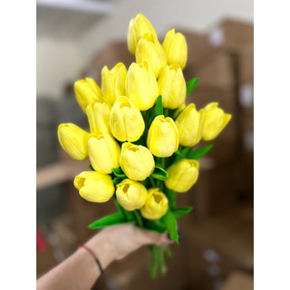 Hoa tuylip /hoa decor giá rẻ