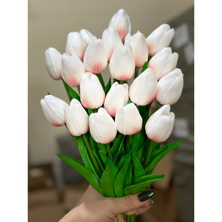 Hoa tuylip /hoa decor giá rẻ