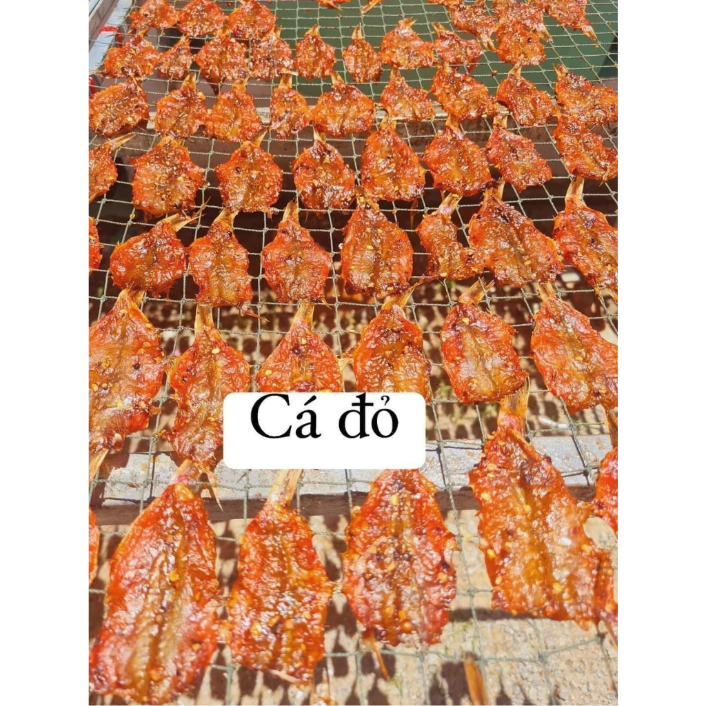 cá đỏ ướp mặn ngọt ăn bao ngon phú quốc SAHARA